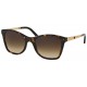 Gafas sol Ralph Lauren RL 8113 500313
