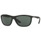 Gafas sol RAY-BAN RB 8351 6219/71