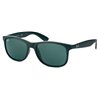 Ulleres sol RAY-BAN RB 4202 6069/71