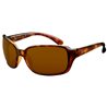 Ulleres de sol RAY-BAN RB 4068 642/57
