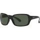 Ulleres de sol RAY-BAN RB 4068 601