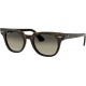 Ulleres de sol RAY-BAN RB 2168 902/32