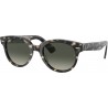 Gafas sol RAY-BAN RB 2199 1333/71