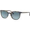Ulleres sol RAY-BAN RB 2197 13563M