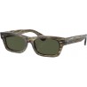 Ulleres sol Oliver Peoples OV 5510SU 173552 DAVRI