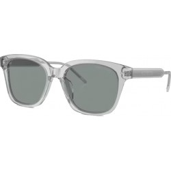 Ulleres de sol Giorgio Armani AR 8210U 6080/56
